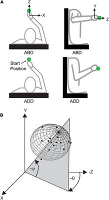 Posture dependent factors influence movement variability when reaching to nearby virtual objects